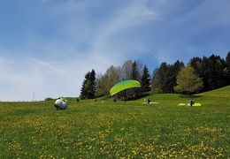 20190507 114903 (29 visits) 20190507 114903