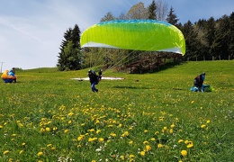 20190507 115204 (29 visits) 20190507 115204