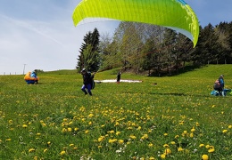 20190507 115205 (32 visits) 20190507 115205