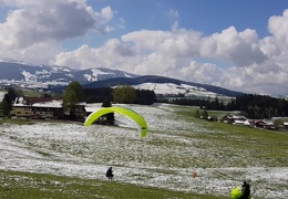 vlcsnap-012019-05-08-19h58m28s845 (29 visits) vlcsnap-012019-05-08-19h58m28s845
