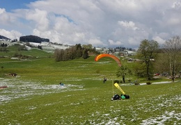 vlcsnap-012019-05-08-20h01m15s248 (32 visits) vlcsnap-012019-05-08-20h01m15s248
