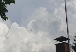 20190616 164900 20190616 164900