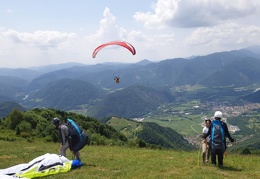 20190619 135024 (2 visits) 20190619 135024