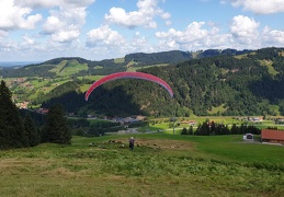 20190814 112240 (2 visits) 20190814 112240