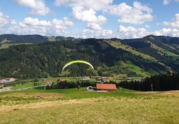 20190814 113317 (2 visits) 20190814 113317