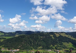 20190814 114152 (3 visits) 20190814 114152