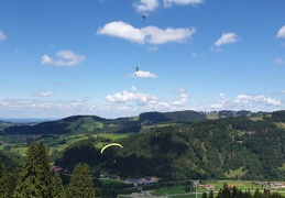 20190814 123959 (3 visits) 20190814 123959