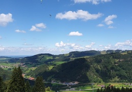 20190814 124133 (3 visits) 20190814 124133